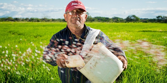 peasant-452904_1280